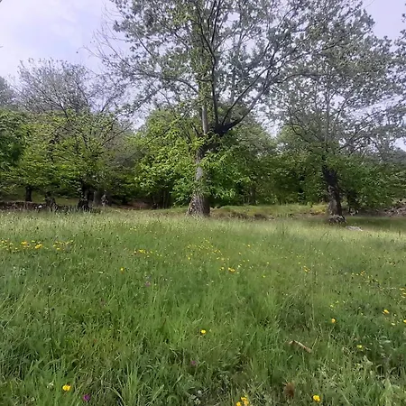 Tatil Evi Les Hauts De Privat Saint-Privat-de-Vallongue