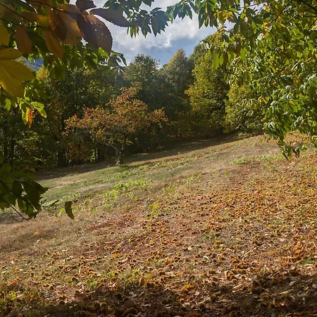 Les Hauts De Privat Tatil Evi *