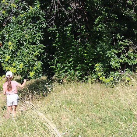 Les Hauts De Privat