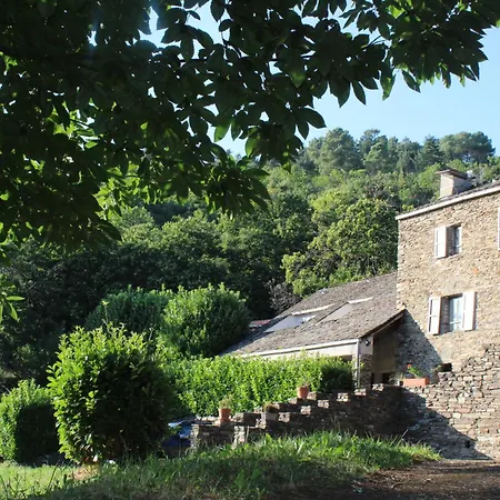 Les Hauts De Privat * Saint-Privat-de-Vallongue