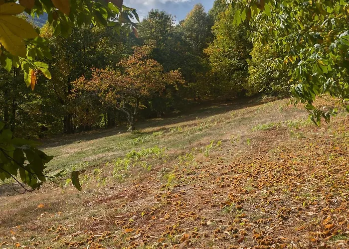 Les Hauts De Privat Σπίτι διακοπών *